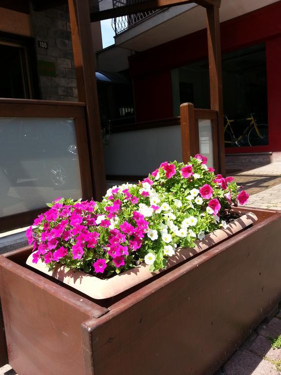 Carla Hotel 2*